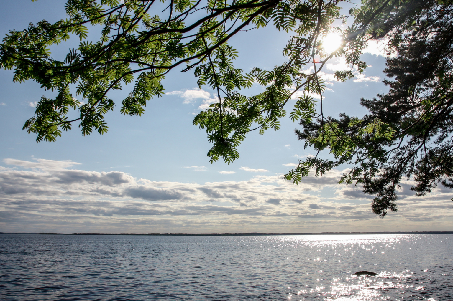 Lohja